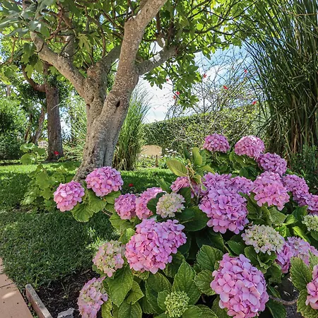 Casa Pepa-paca - Swiming Pool & Air Condition - - Sesmarias - By Bedzy Ferienhaus *