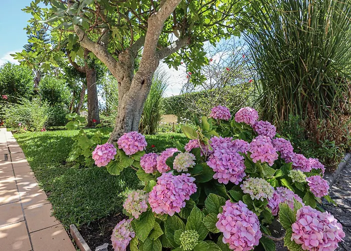 Casa Pepa-paca - Swiming Pool & Air Condition - - Sesmarias - By Bedzy 別荘 *