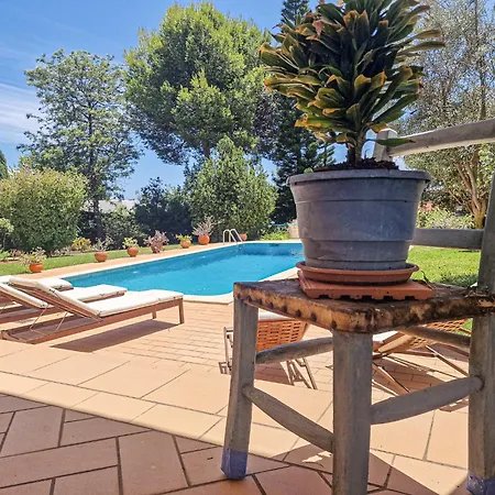 Casa Pepa-paca - Swiming Pool & Air Condition - - Sesmarias - By Bedzy